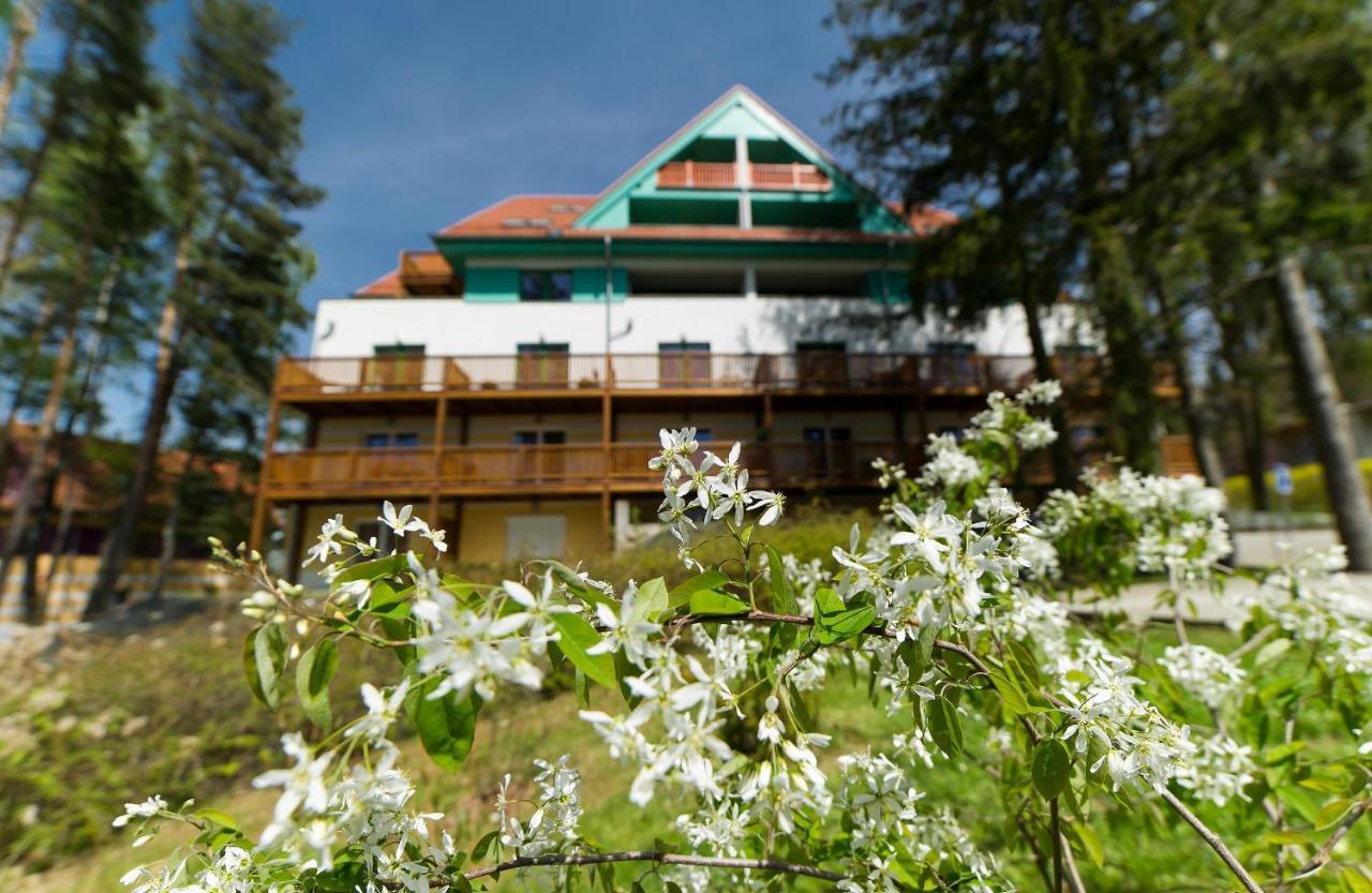 Ferienwohnung Apartman Ctyrlistek Lipno Lipno nad Vltavou Exterior foto