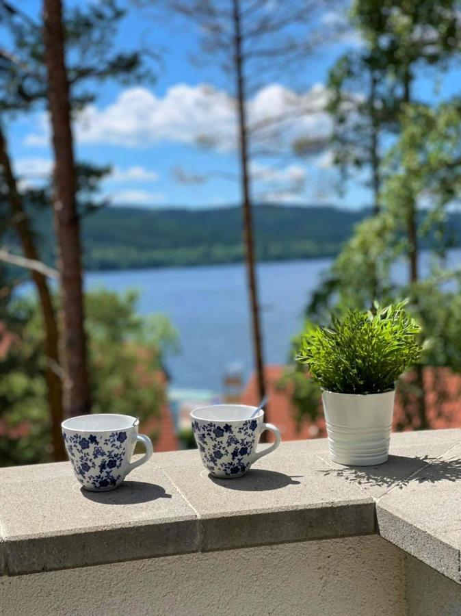 Ferienwohnung Apartman Ctyrlistek Lipno Lipno nad Vltavou Exterior foto